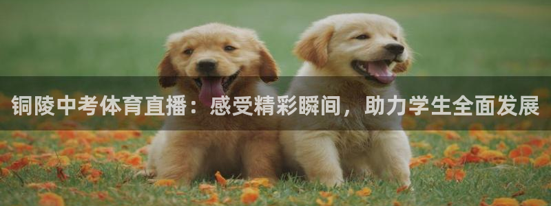 铜陵中考体育直播：感受精彩瞬间，助力学生全面发展