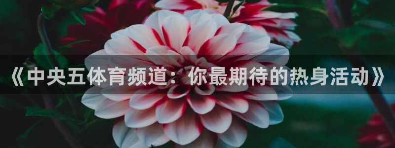 《中央五体育频道：你最期待的热身活动》