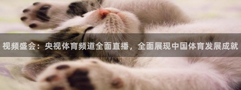 视频盛会：央视体育频道全面直播，全面展现中国体育发展成就