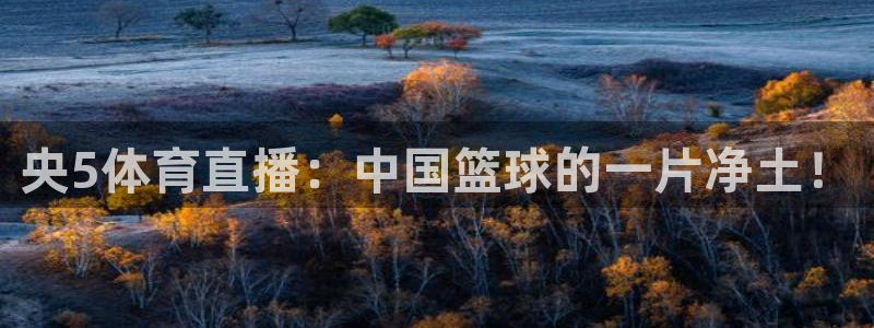 央5体育直播：中国篮球的一片净土！