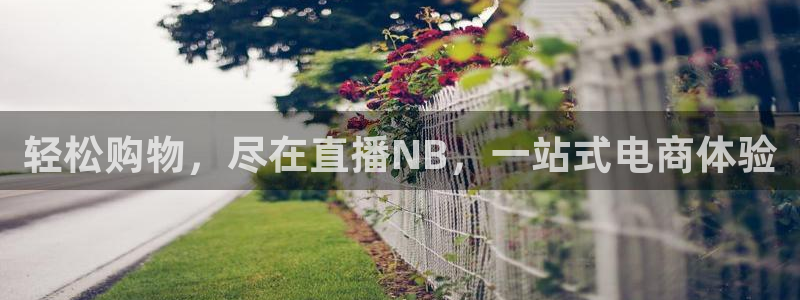 轻松购物，尽在直播NB，一站式电商体验