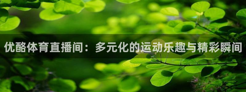 优酪体育直播间：多元化的运动乐趣与精彩瞬间