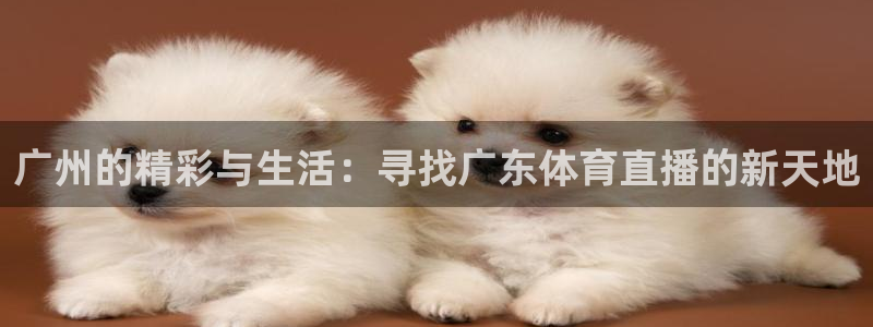 广州的精彩与生活：寻找广东体育直播的新天地