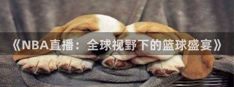 《NBA直播：全球视野下的篮球盛宴》