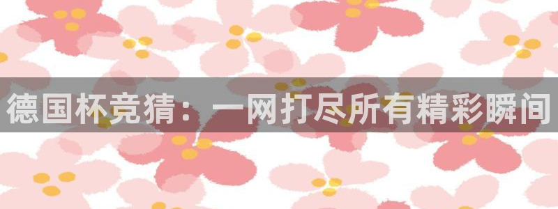 德国杯竞猜：一网打尽所有精彩瞬间