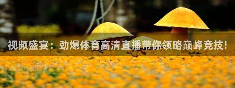 视频盛宴：劲爆体育高清直播带你领略巅峰竞技!