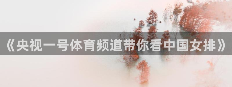 《央视一号体育频道带你看中国女排》