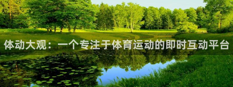 体动大观：一个专注于体育运动的即时互动平台